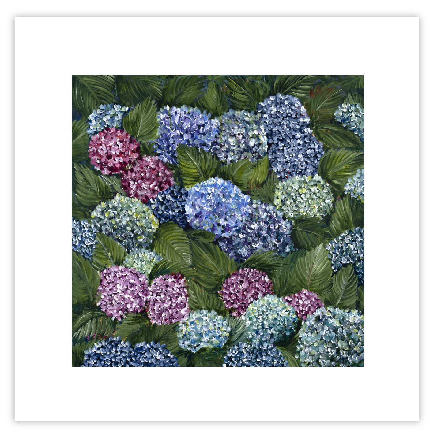 Hydrangeas