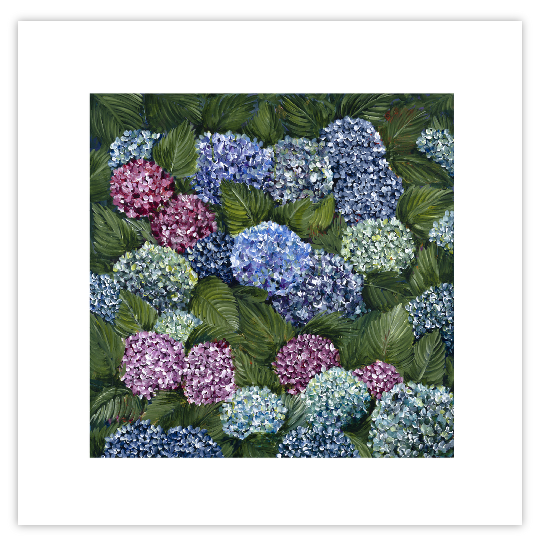 Hydrangeas