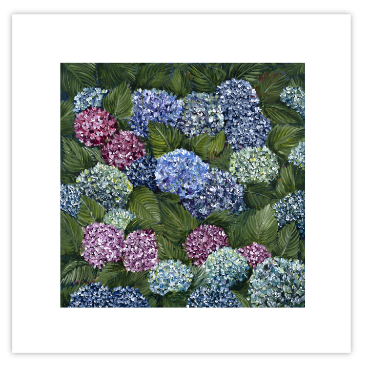 Hydrangeas